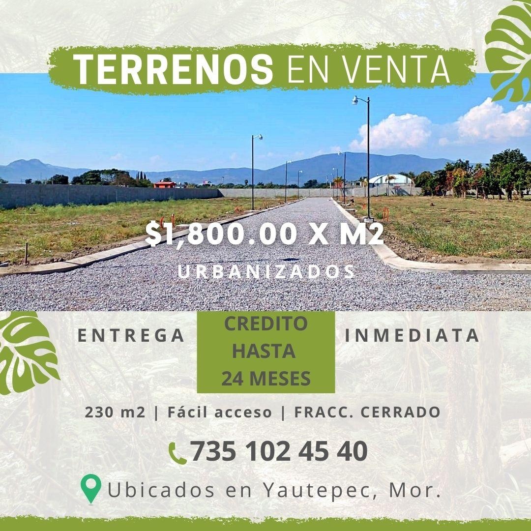 https://portalterreno.com/imagenes/terrenos/1312051103_post_de_instagram_bienes_raices_minimalista_rosa.jpg