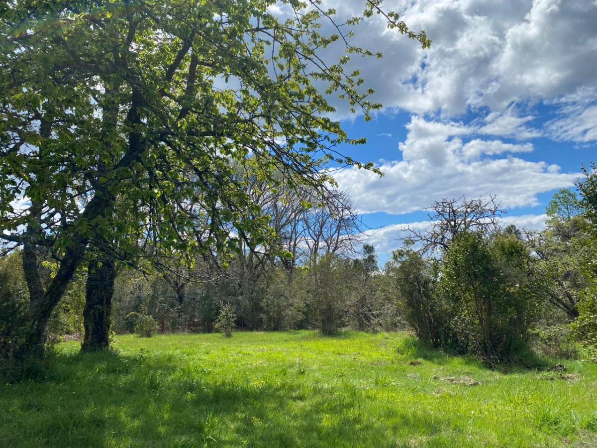 Venta Terreno Molco - La Araucanía