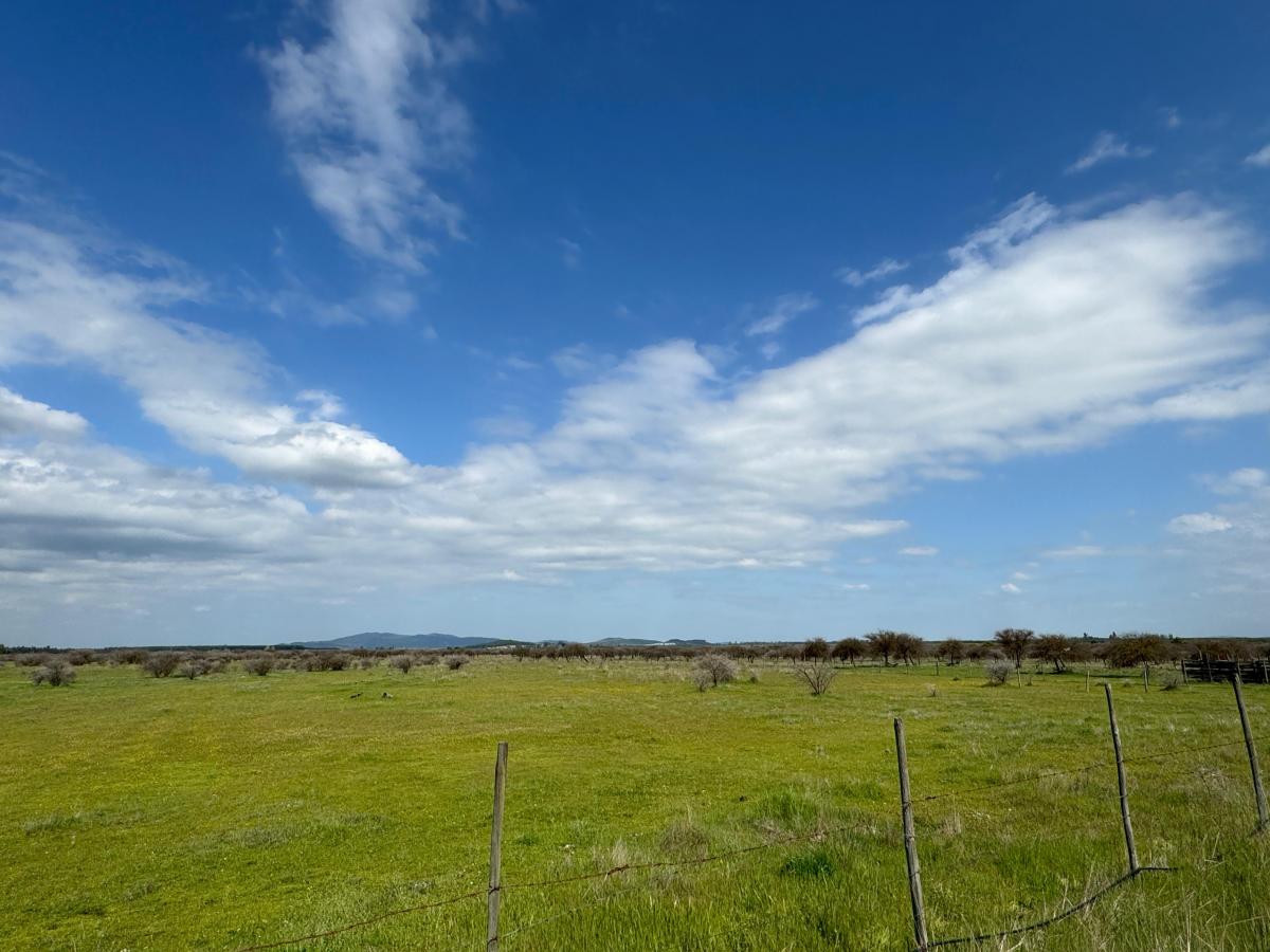 Venta Agrícola Cauquenes - Maule