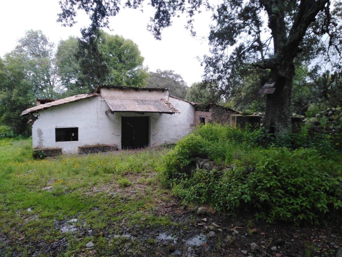 https://portalterreno.com/imagenes/terrenos/1506101834_foto_2.jpeg