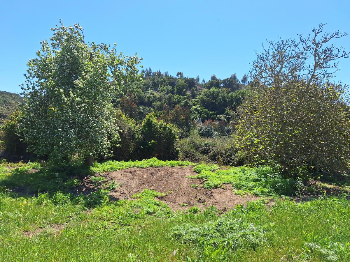 Venta Agrícola El Convento - Valparaíso