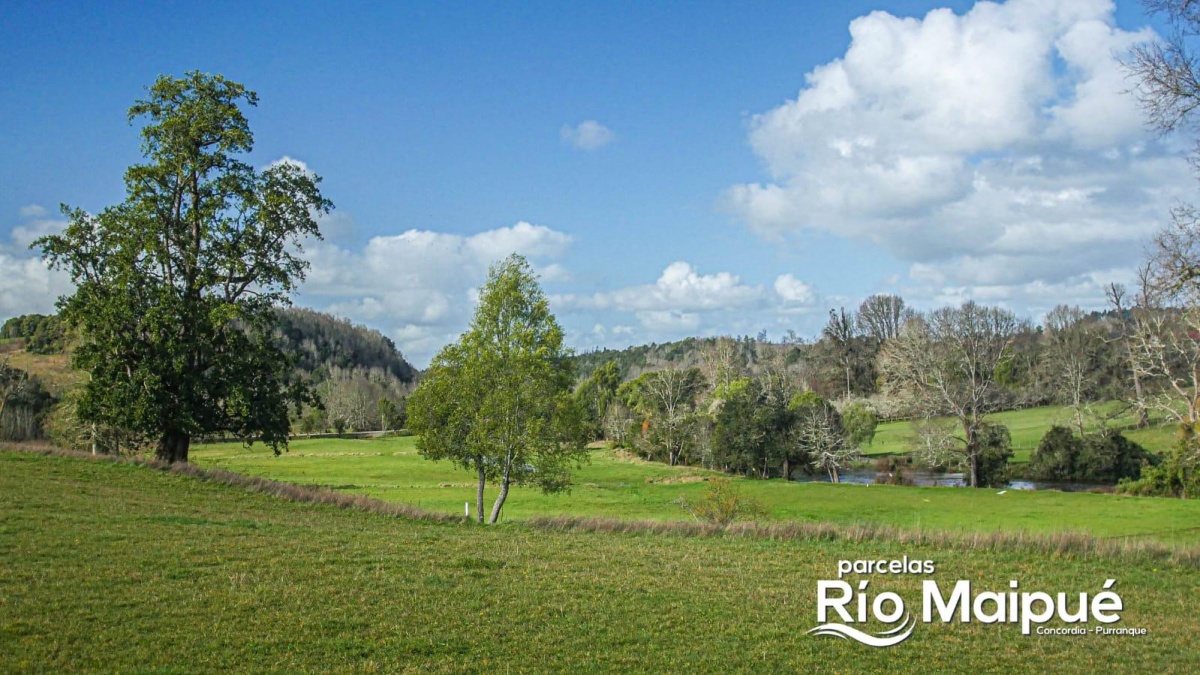 Venta Parcela Purranque - Los Lagos