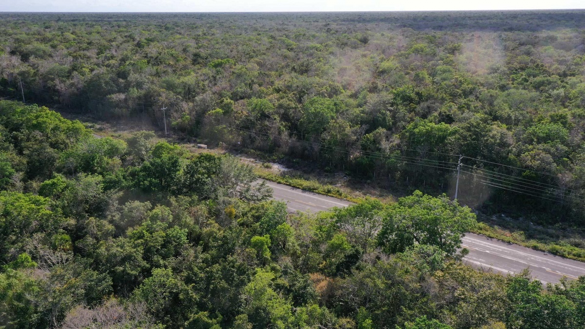 https://portalterreno.com/imagenes/terrenos/1705082655_dji_0959.jpg