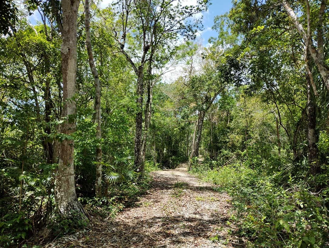 https://portalterreno.com/imagenes/terrenos/1705082738_entrytrail.jpg