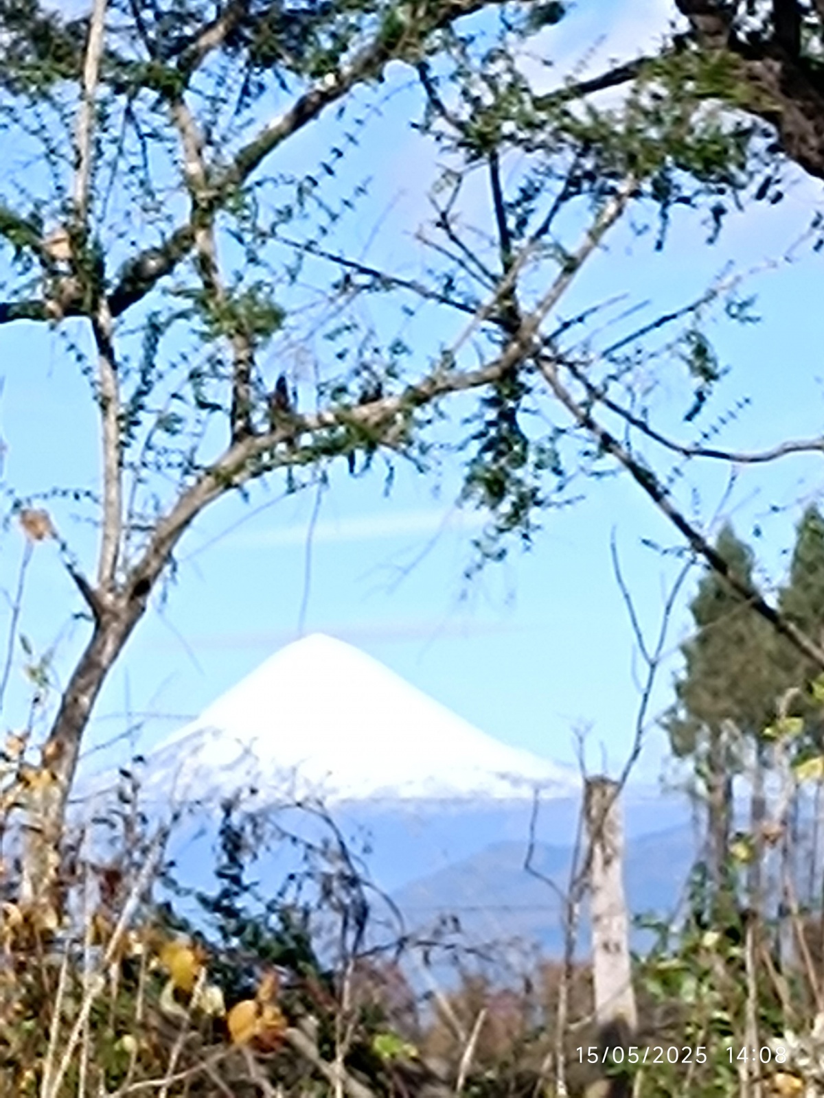 https://portalterreno.com/imagenes/terrenos/1805040929_1000004086.jpg