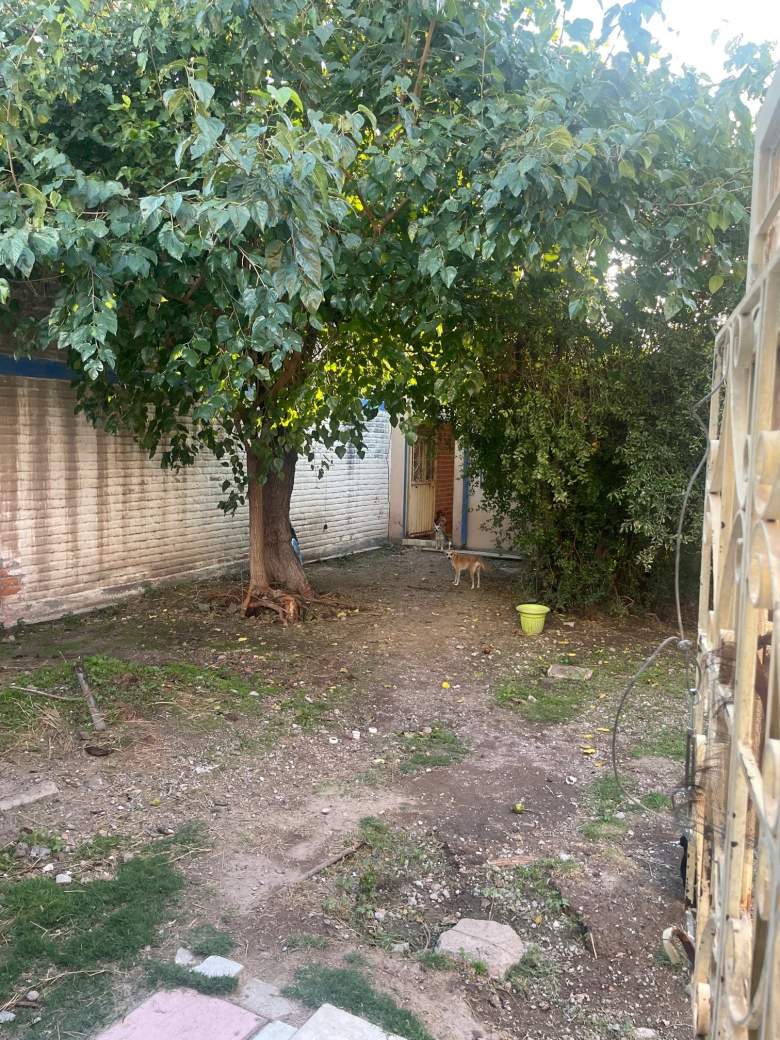 Venta Terreno / Lote La Salud - Aguascalientes