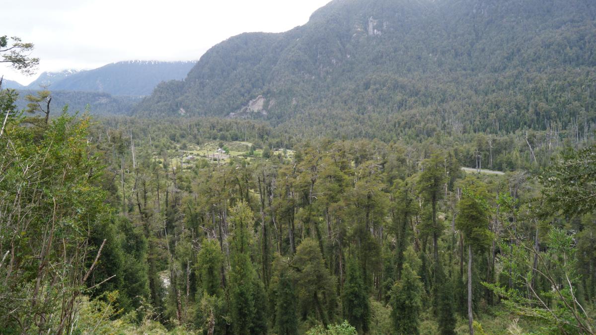 Venta Terreno Chaitén - Los Lagos