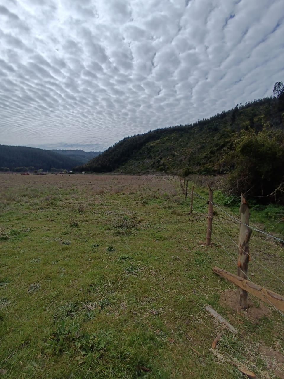 Venta Terreno Cobquecura - Ñuble