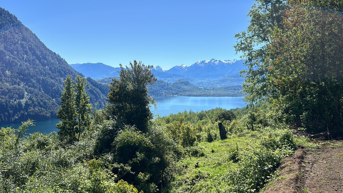 Venta Parcela Lago Ranco - Los Ríos