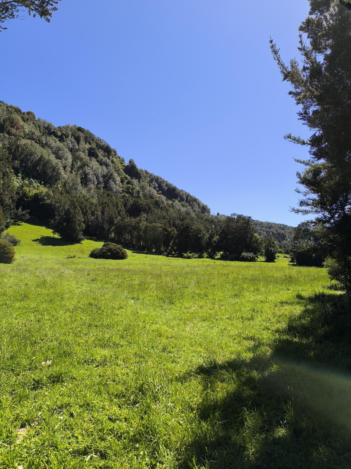 Venta Parcela Queilén - Los Lagos