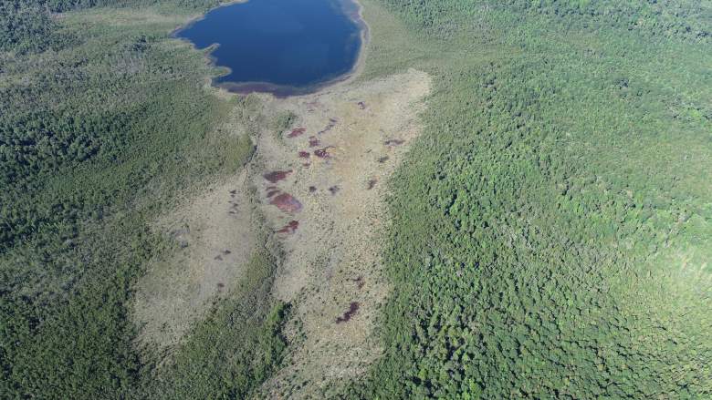 Venta Inversión Cisnes - Aysén