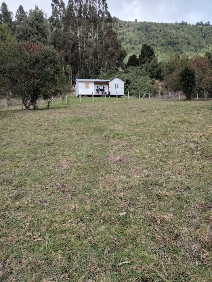 Venta Terreno Puerto Octay - Los Lagos