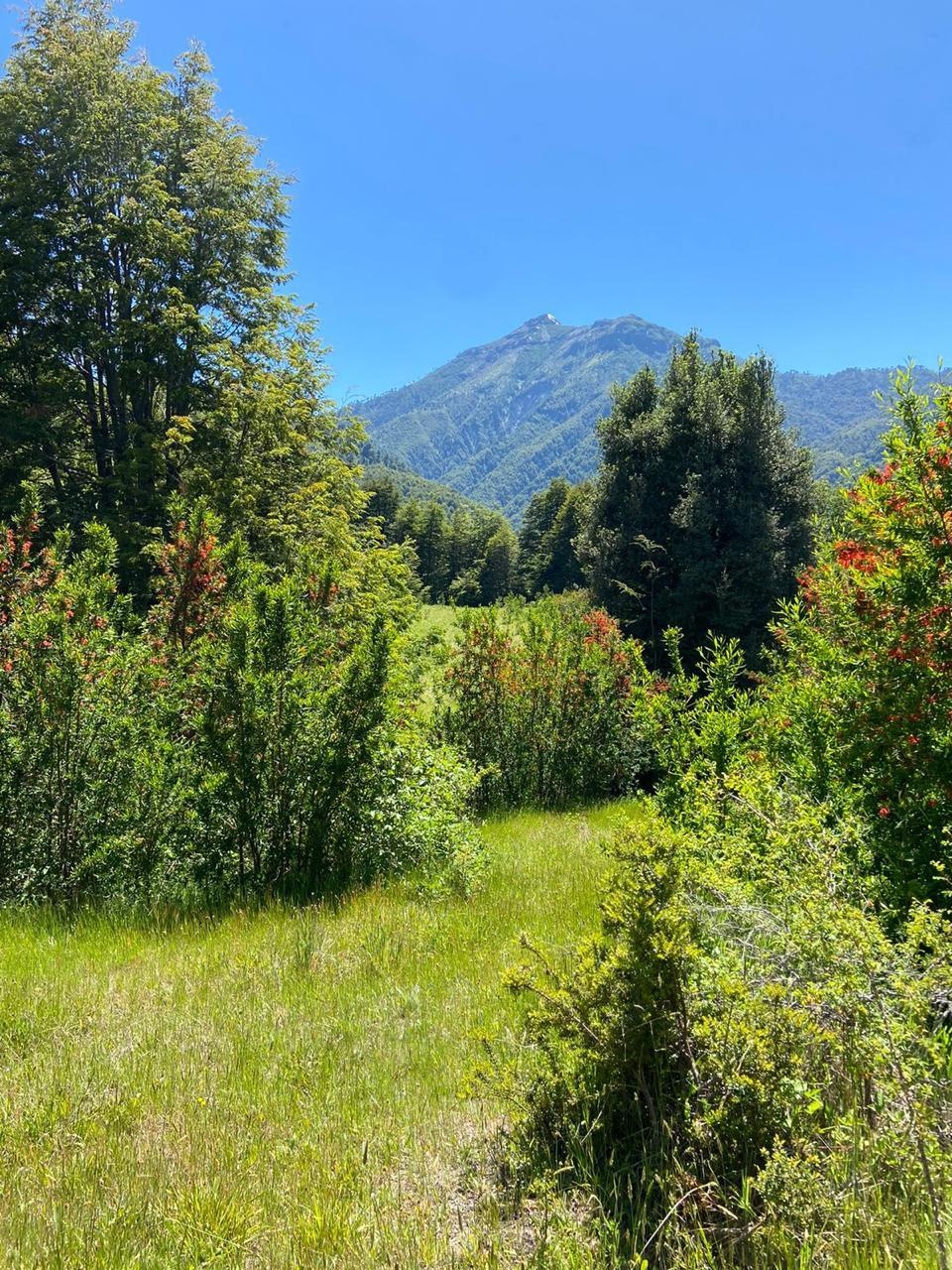 Venta Terreno Pucón - La Araucanía