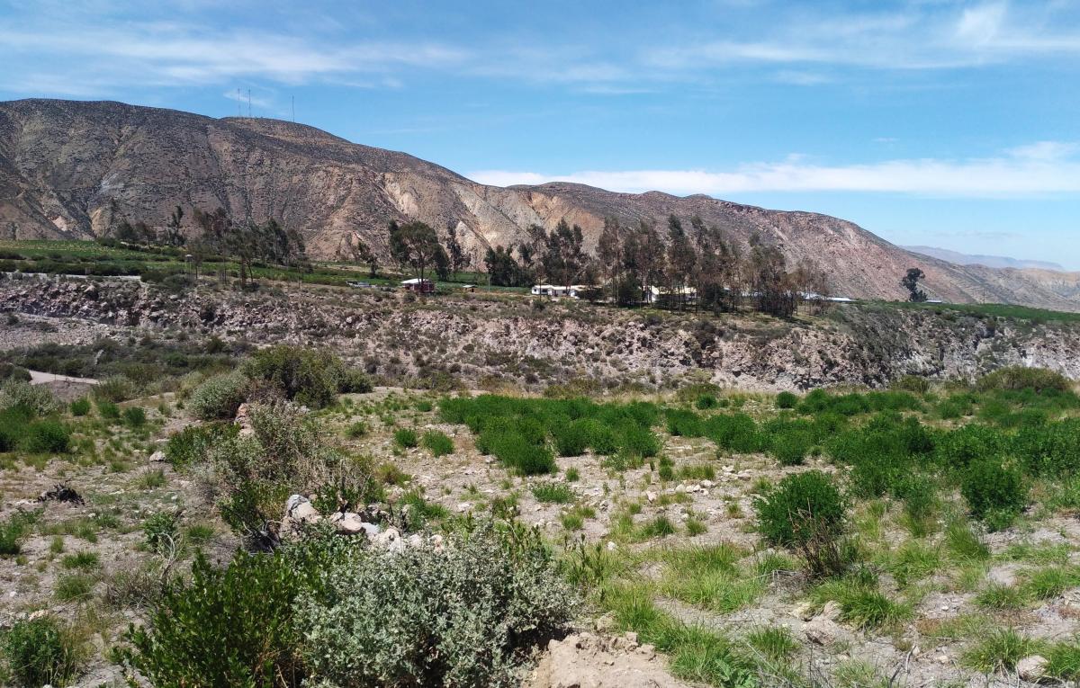 Venta Agrícola Putre - Arica y Parinacota