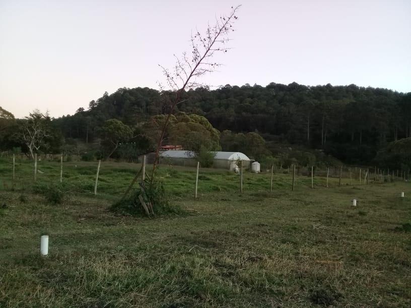 https://portalterreno.com/imagenes/terrenos/2107063242_313018b4-1582-4131-91a3-1d1174586ec8.jpg