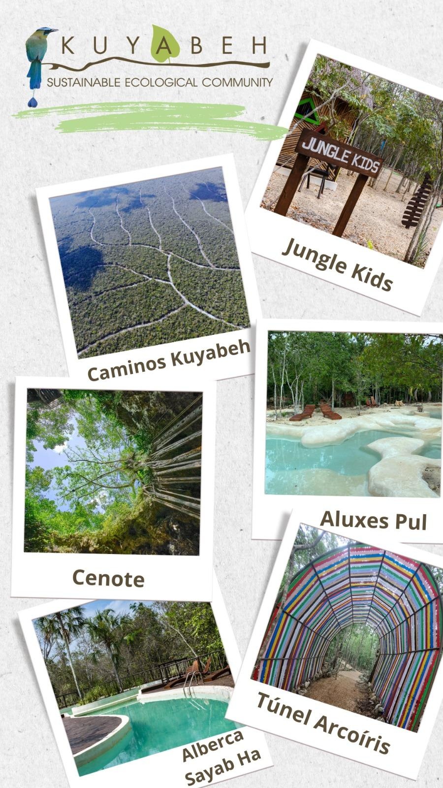 https://portalterreno.com/imagenes/terrenos/2205104900_whatsapp_image_2025-05-22_at_54224_pm.jpeg