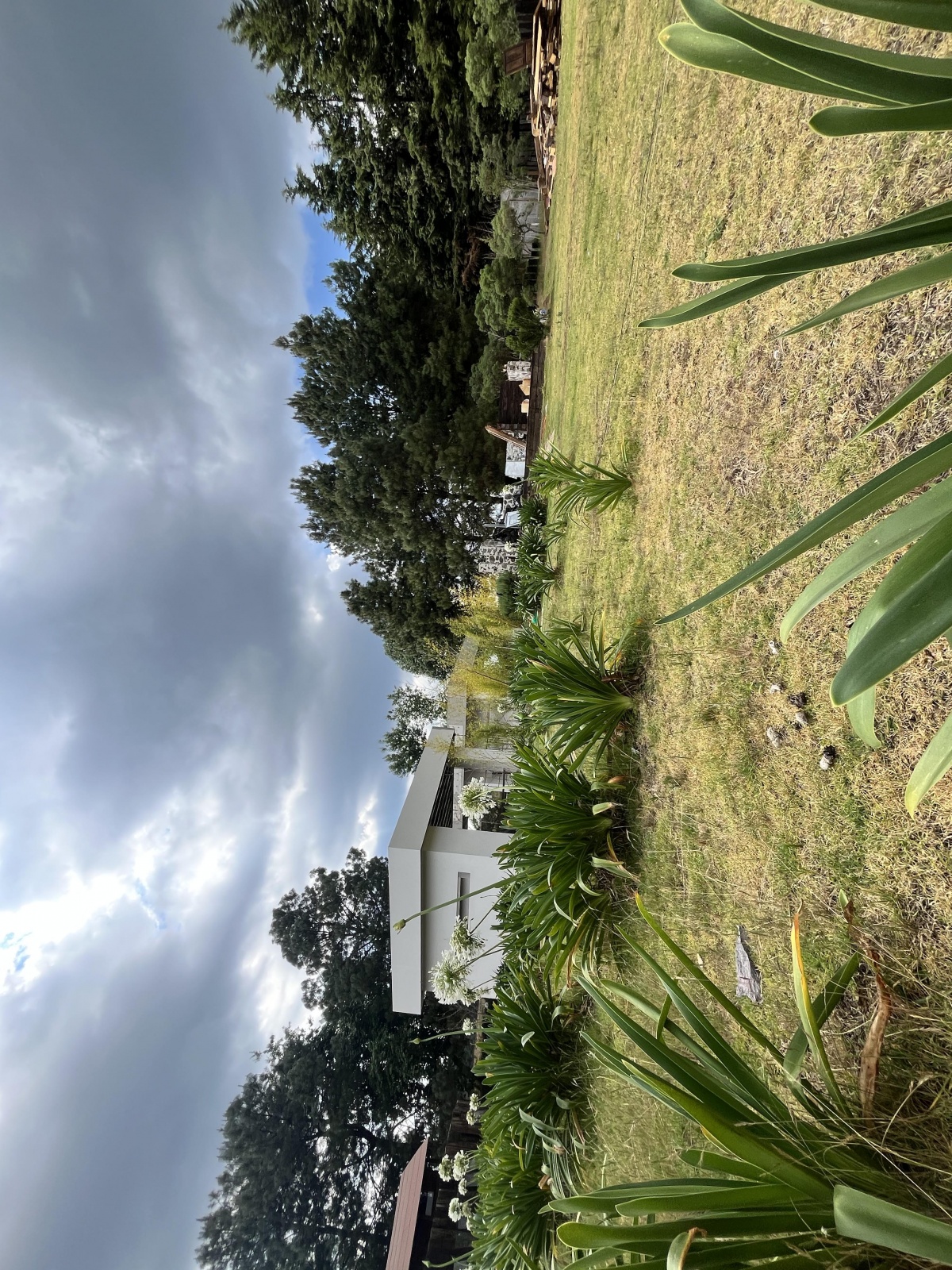 https://portalterreno.com/imagenes/terrenos/2307073528_img_6794.jpeg