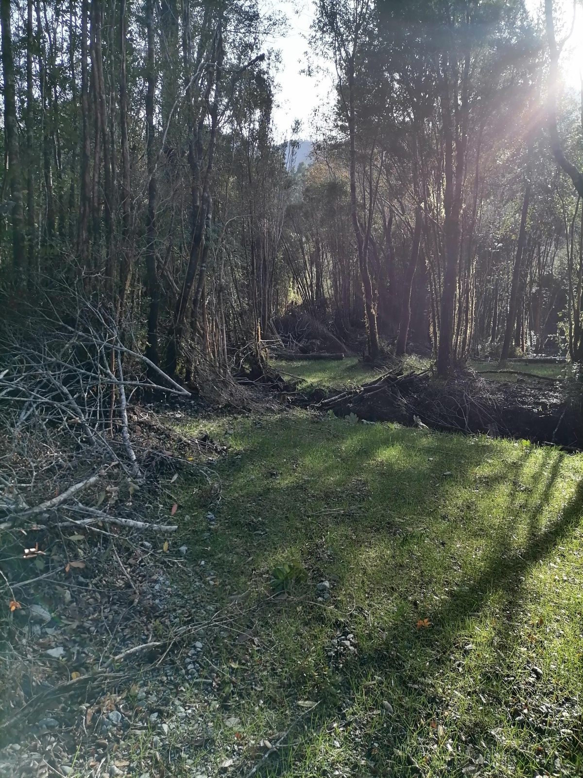 Venta Terreno Hualaihué - Los Lagos