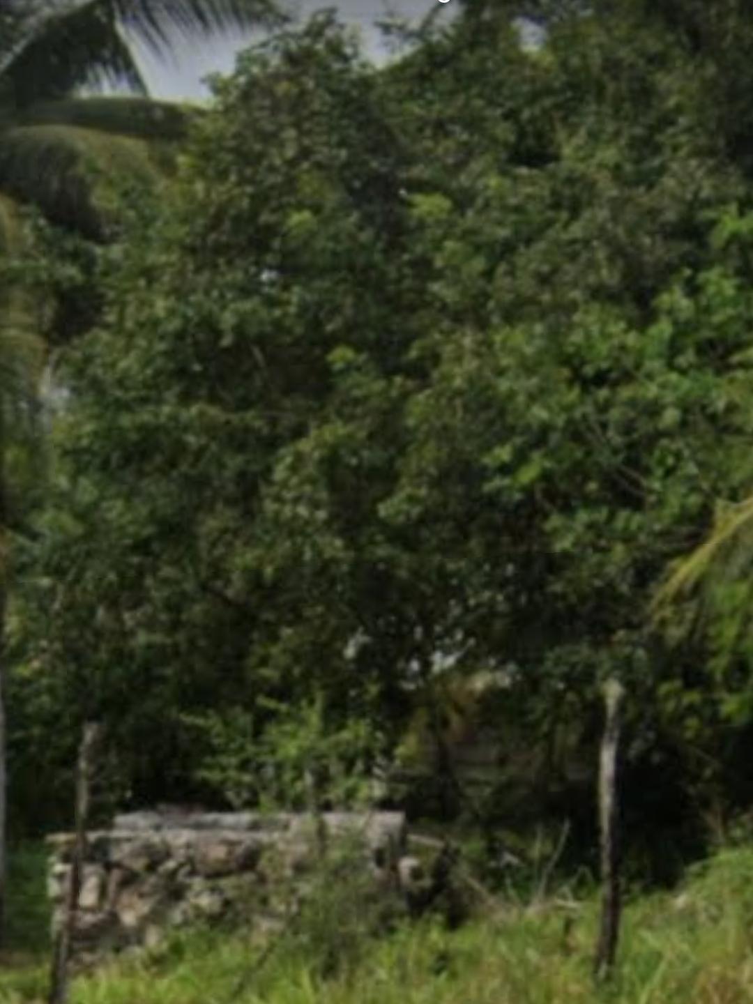 https://portalterreno.com/imagenes/terrenos/2406094029_img_20250624_191712.jpg