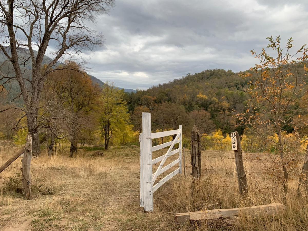 Venta Parcela Lonquimay - La Araucanía