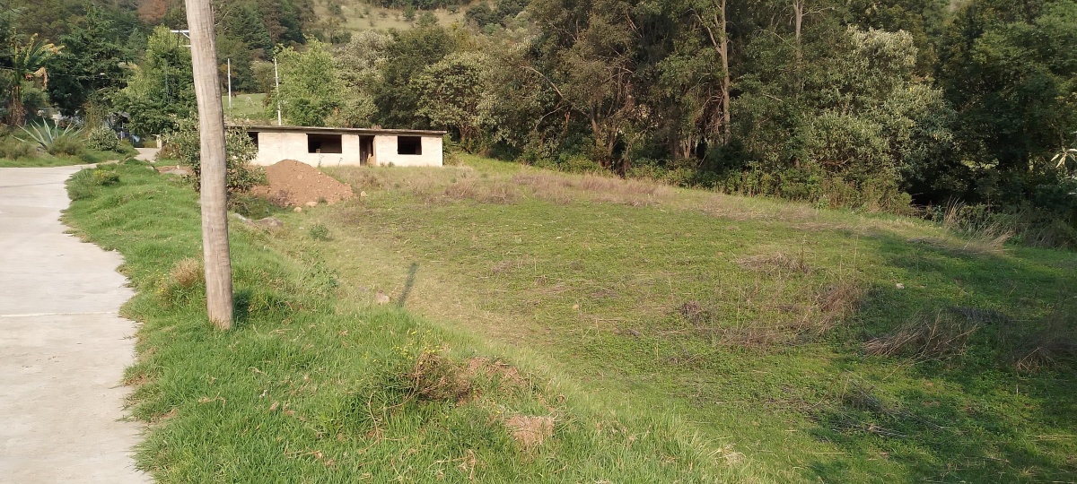 https://portalterreno.com/imagenes/terrenos/2506022220_20250608_173901.jpg