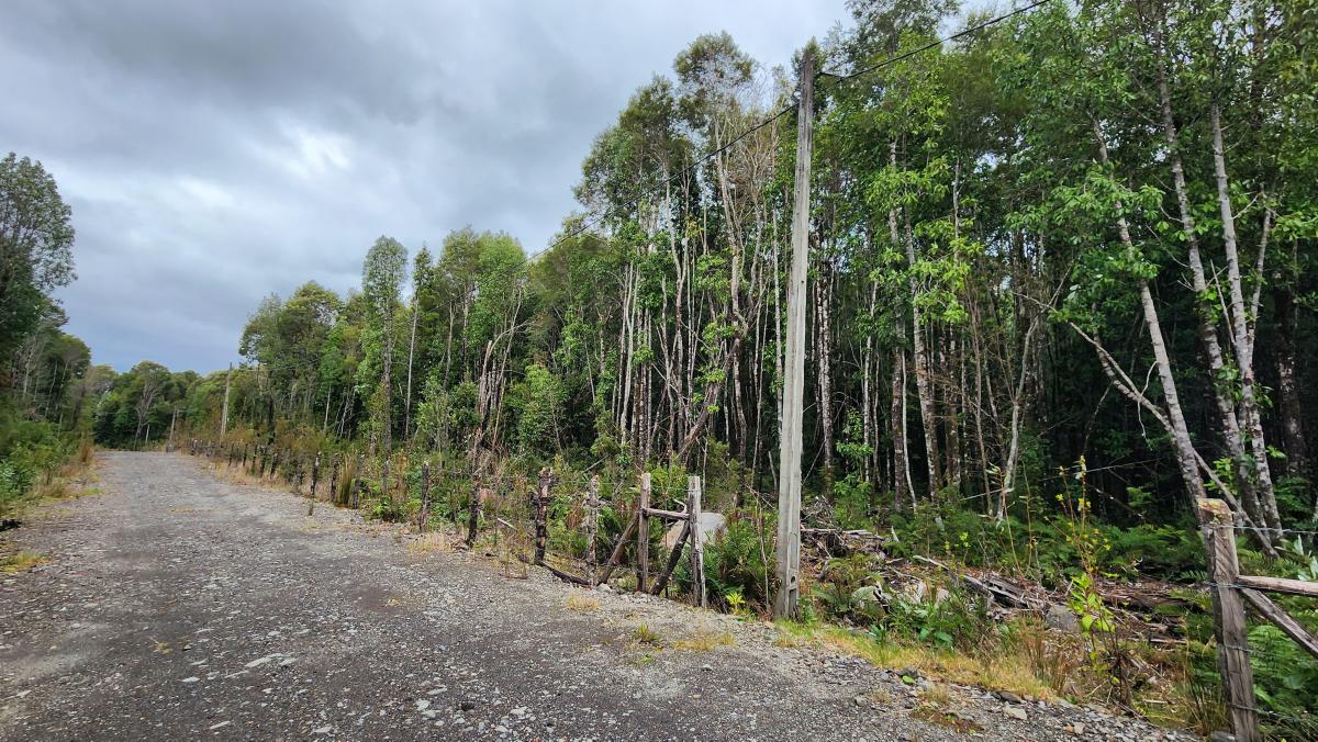 Venta Parcela Puerto Montt - Los Lagos