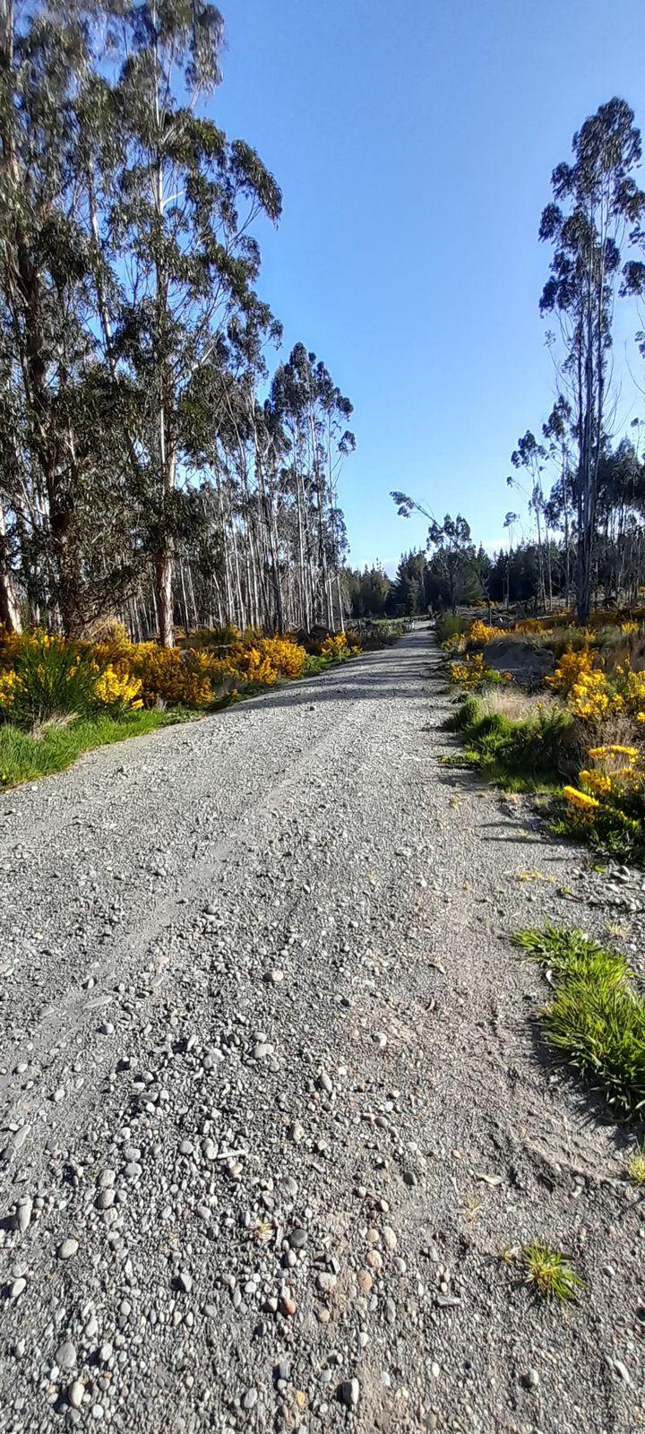 Venta Terreno Ancud - Los Lagos