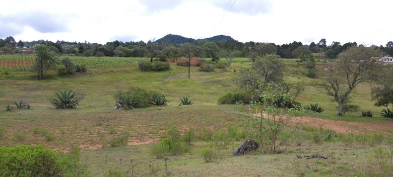 Venta Terreno / Lote Atexca - Zacatlán