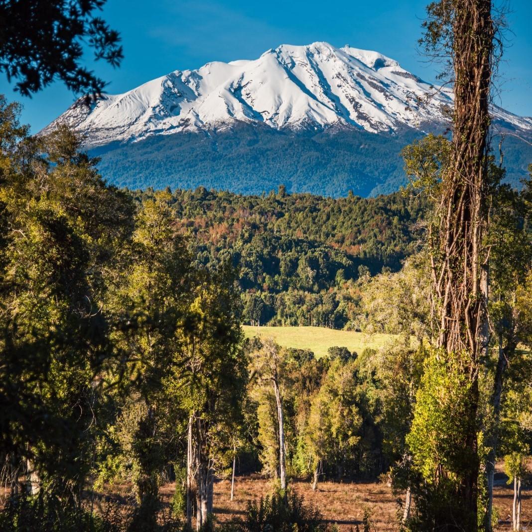 Venta Terreno Puerto Varas - Los Lagos