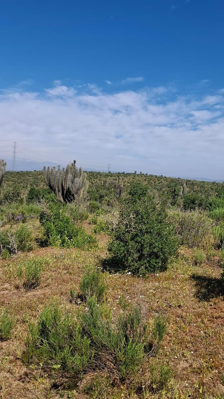 Venta Terreno Ovalle - Coquimbo