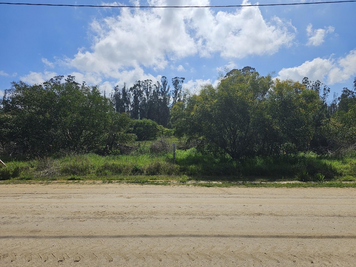 Venta Parcela Algarrobo - Valparaíso