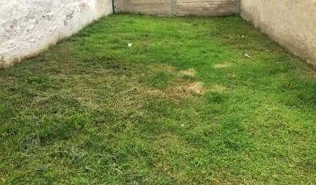 https://portalterreno.com/imagenes/terrenos/2705062304_terreno_madeiras.jpg