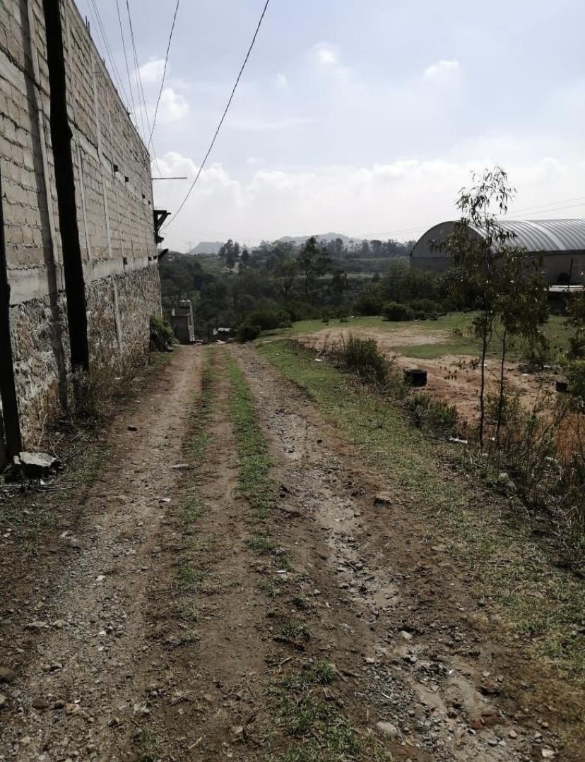 https://portalterreno.com/imagenes/terrenos/2705123425_img_1790.jpeg