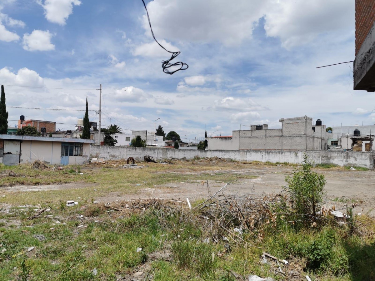 https://portalterreno.com/imagenes/terrenos/2706015642_flores_magon_7.jpg