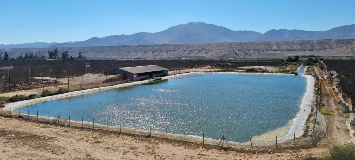 Venta Agrícola Freirina - Atacama