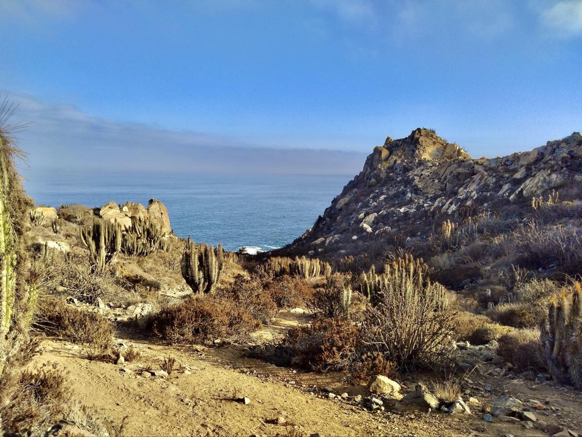 Venta Terreno La Herradura - Coquimbo