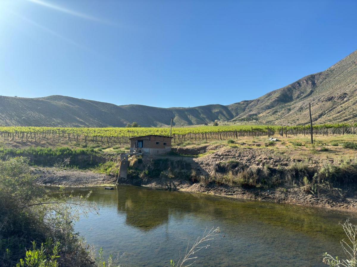 Venta Agrícola Vicuña - Coquimbo