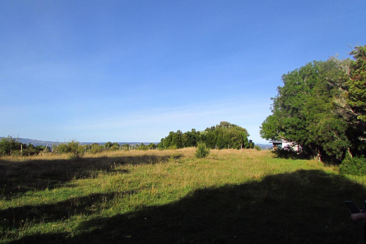 Venta Parcela Castro - Los Lagos