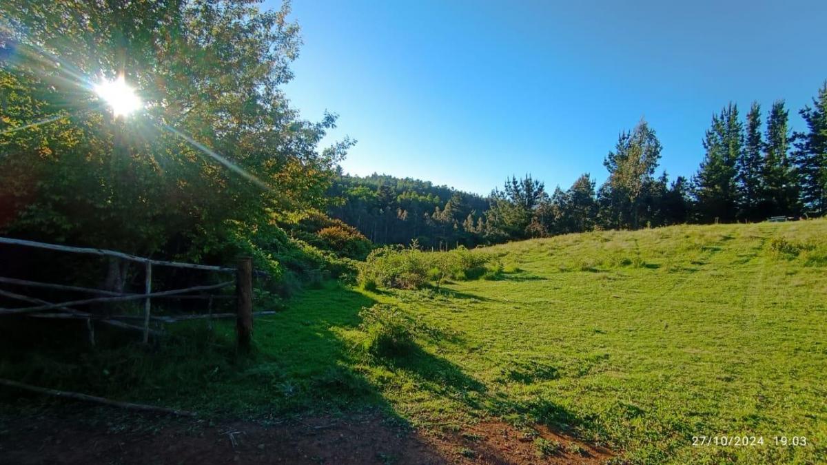 Venta Parcela Temuco - La Araucanía