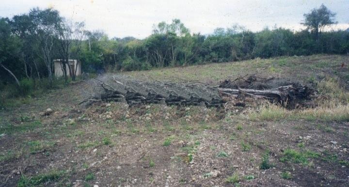https://portalterreno.com/imagenes/terrenos/2904013209_1000044414.jpg