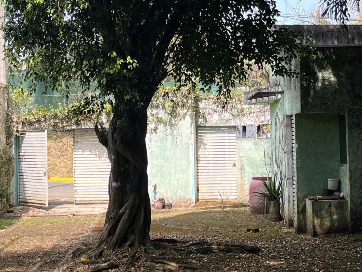 https://portalterreno.com/imagenes/terrenos/2905102438_6.jpg