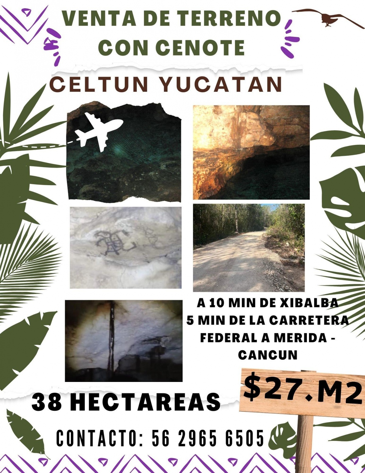 Venta Terreno / Lote Celtun - Chichimilá