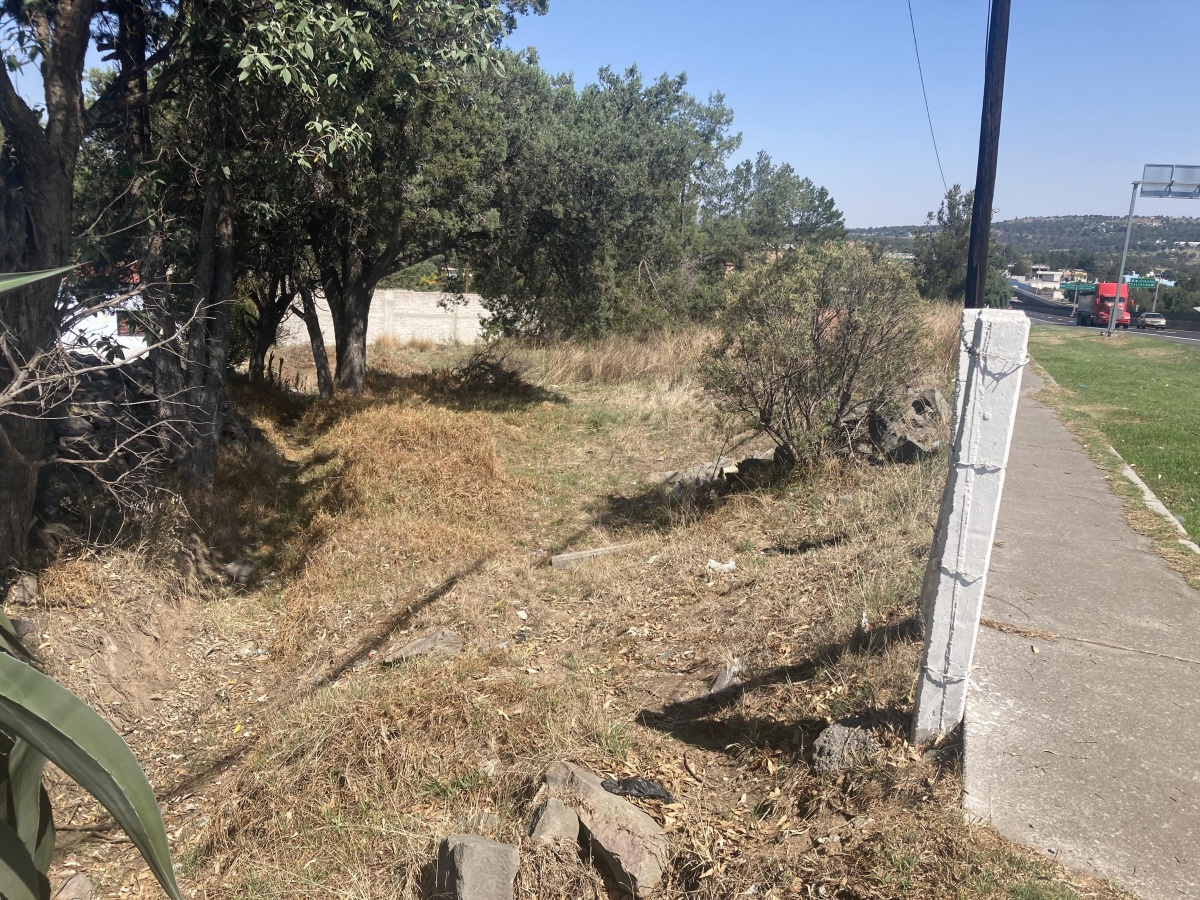 https://portalterreno.com/imagenes/terrenos/3005101458_img_0956.jpeg