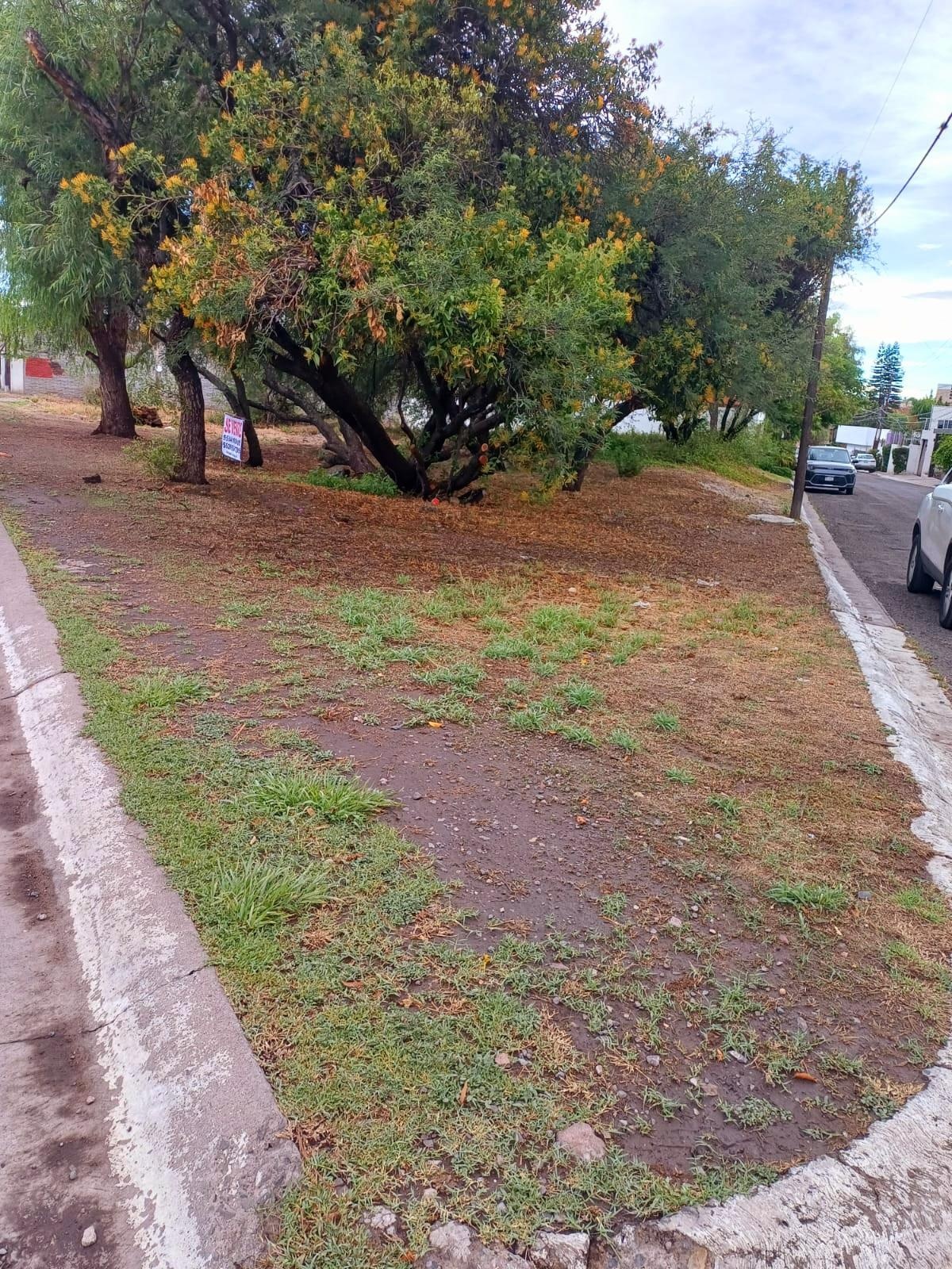 https://portalterreno.com/imagenes/terrenos/3006093240_img-20240621-wa0128.jpg