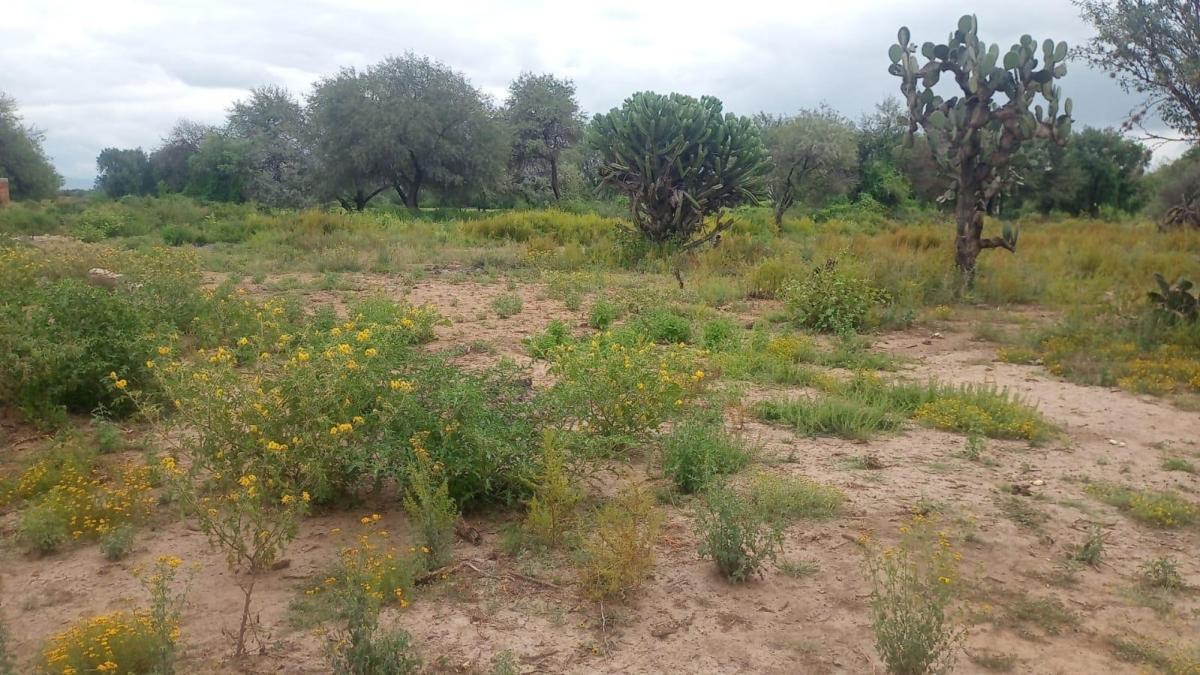 Venta Terreno / Lote Los Moreno - Mexquitic de Carmona