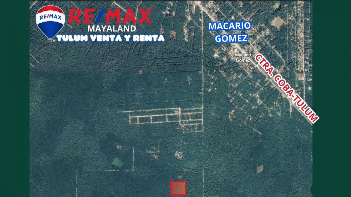 Venta Terreno / Lote Macario Gómez - Tulum