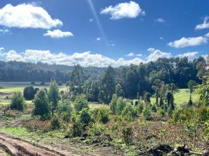 Venta Terreno Loncoche - La Araucanía