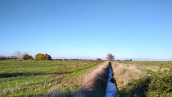 Venta Agrícola Bulnes - Ñuble