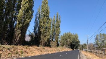 Venta Sitio Paine - Región Metropolitana