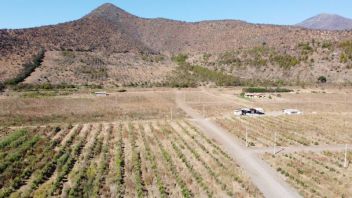 Venta Parcela Isla de Maipo - Región Metropolitana